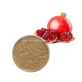 Pomegranate Extract Ellagic Acid powder